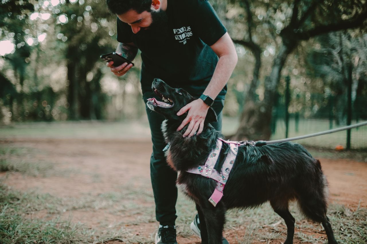 gallery-3 A man plays with his dog using a smartphone in a park in São Paulo, Brazil.
