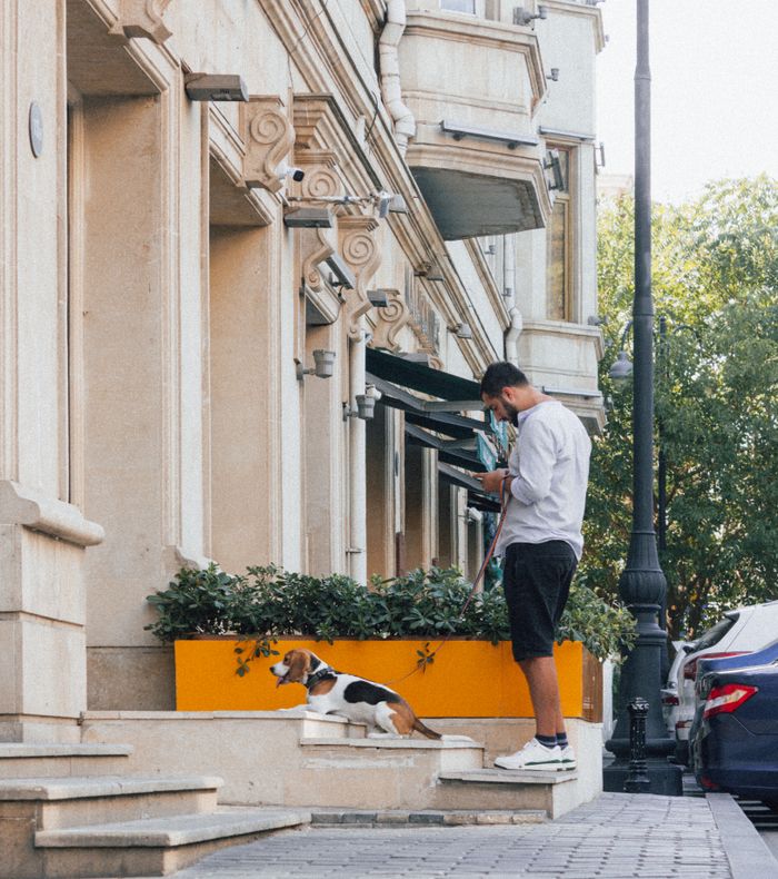 gallery-2 Man using smartphone while walking beagle dog in a city street.
