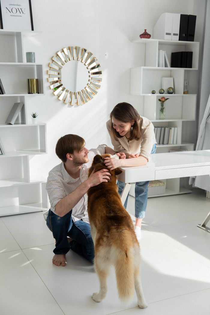gallery-4 Smiling couple interacting with their pet dog in a bright, modern living room.