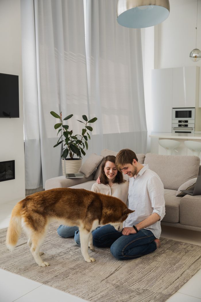 Smiling couple enjoying time with their dog in a modern living room.