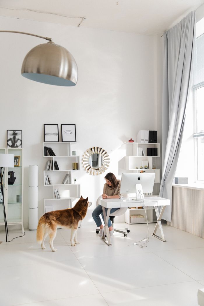 why-choose-us A woman working in a stylish home office with a dog next to her, surrounded by shelves and decor.
