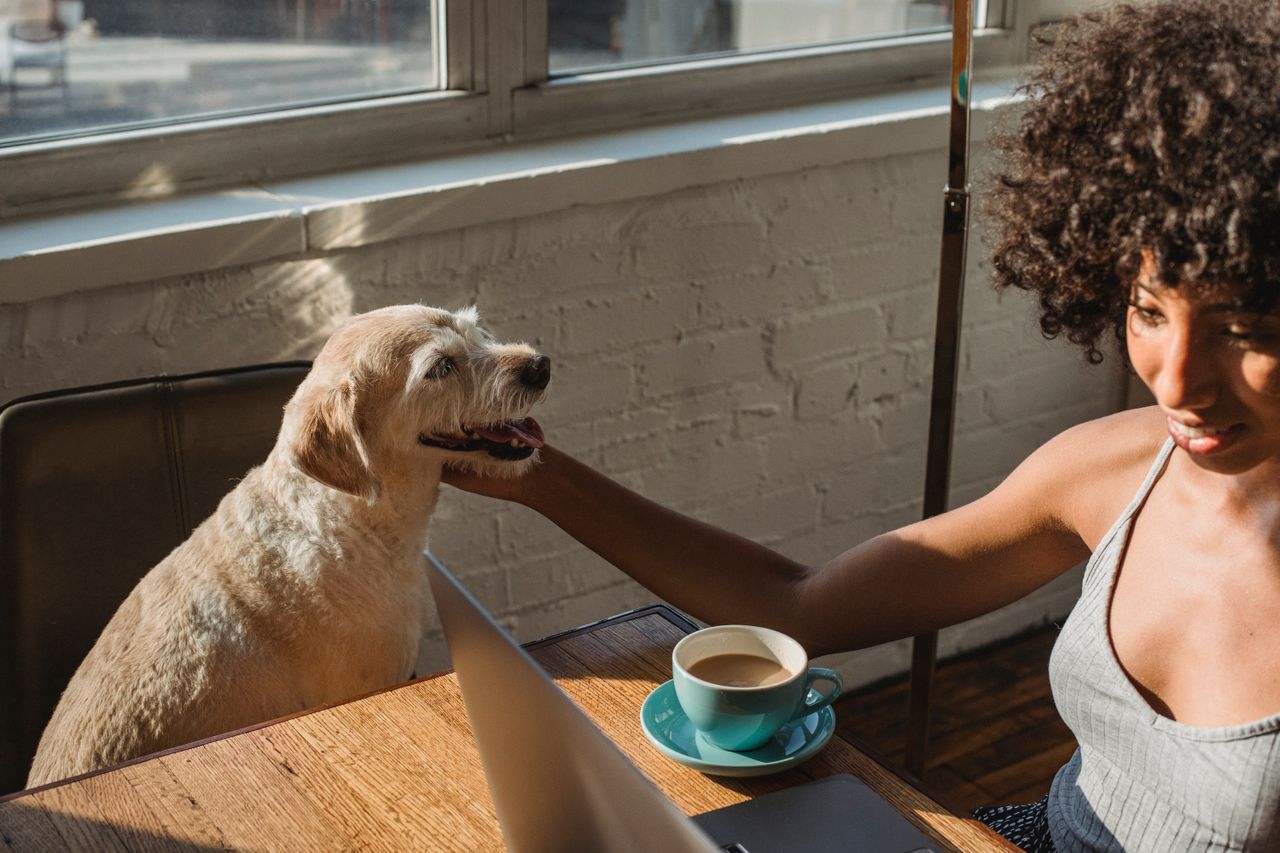 gallery-5 Young black female freelancer sitting at table with netbook and petting dog while drinking coffee in room